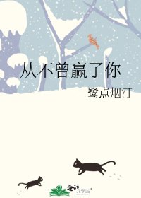 《从不曾赢了你》