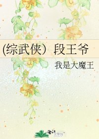《(综武侠)段王爷》
