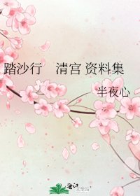 《踏沙行 清宫 资料集》