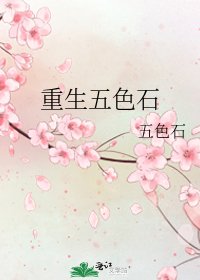 《重生五色石》