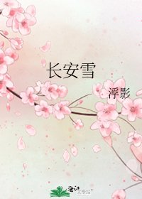 《长安雪》