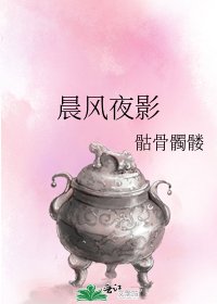 《晨风夜影》