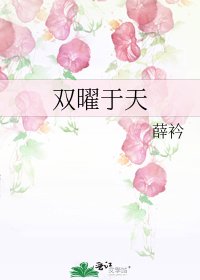 《双曜于天》