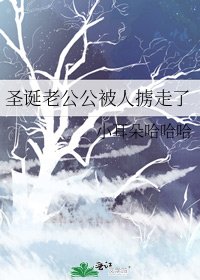 《圣诞老公公被人掳走了》