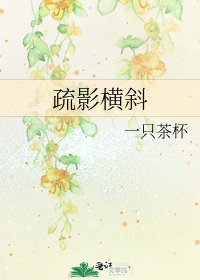 《疏影横斜》