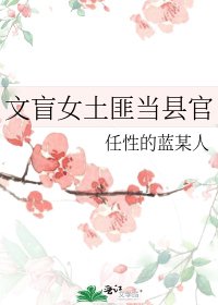 《文盲女土匪当县官》