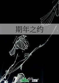 《期年之约》