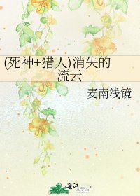 (死神+猎人)消失的流云