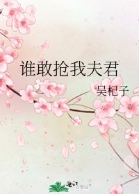 《谁敢抢我夫君》