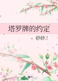《塔罗牌的约定》