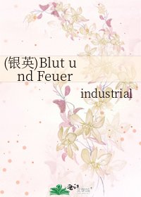 《(银英)Blut und Feuer》