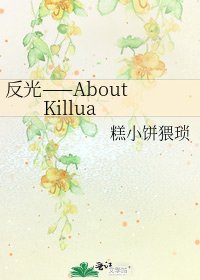 《反光——About Killua》