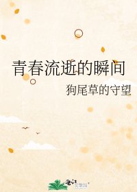 《青春流逝的瞬间》
