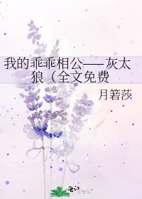 《我的乖乖相公——灰太狼(免费》