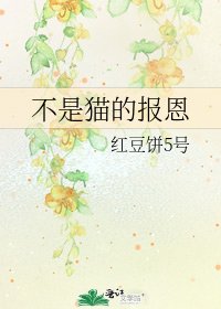 《不是猫的报恩》
