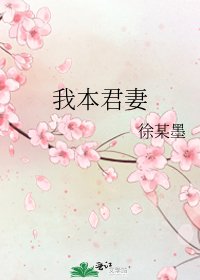《我本君妻》