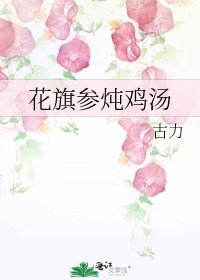 《花旗参炖鸡汤》