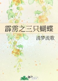 《霹雳之三只蝴蝶》