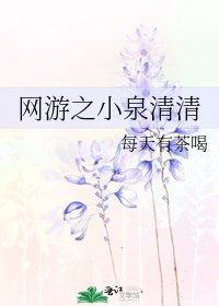 《网游之小泉清清》