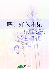 《嗨!好久不见》