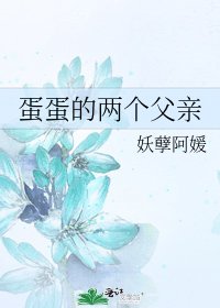 《蛋蛋的两个父亲》