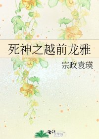 《死神之越前龙雅》