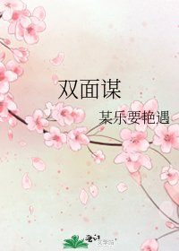 《双面谋》