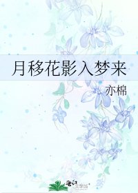 《月移花影入梦来》