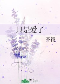 《只是爱了》