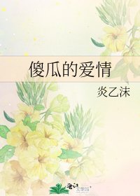 《傻瓜的爱情》