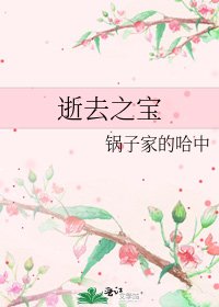 《逝去之宝》