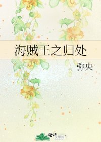 《海贼王之归处》