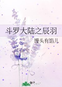 《斗罗大陆之辰羽》