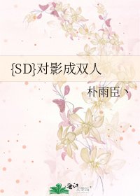 《{SD}对影成双人》