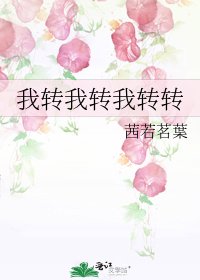 《我转我转我转转》