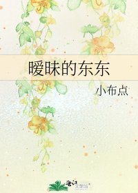 《暧昧的东东》