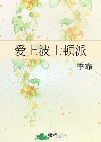 《爱上波士顿派》