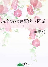 《玩个游戏真蛋疼(网游)》