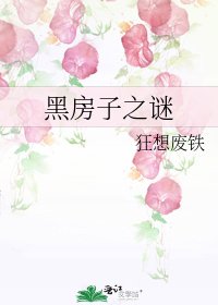 《黑房子之谜》