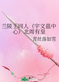 《兰陵王同人(宇文邕中心)北周有皇》