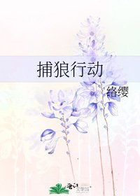 《捕狼行动》