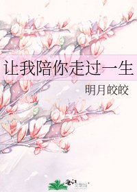 《让我陪你走过一生》