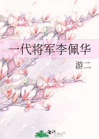 《一代将军李佩华》