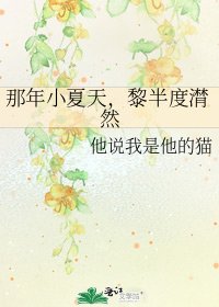 《那年小夏天,黎半度潸然》
