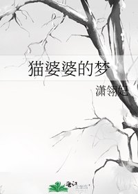 《猫婆婆的梦》