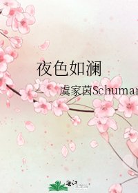 《夜色如澜》