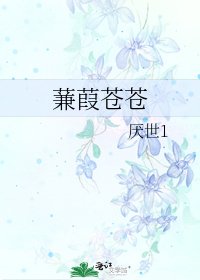 《蒹葭苍苍》