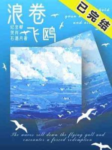 《浪卷飞鸥》