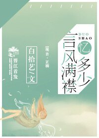 言风满襟忆多少