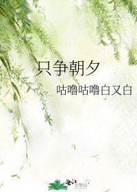 《只争朝夕》